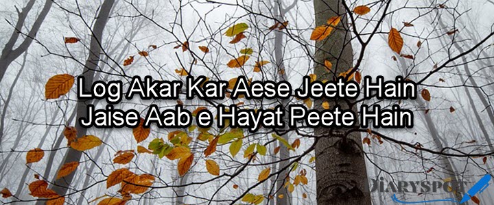 motivational shayari urdu