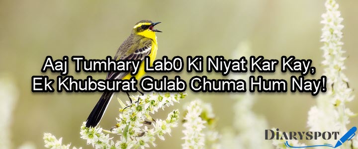 love sad poetry in urdu