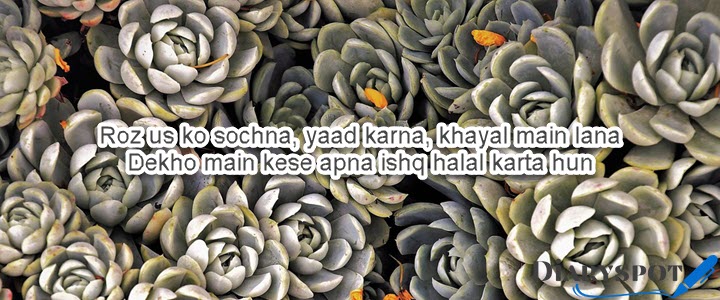 sad poems about love and pain in urdu