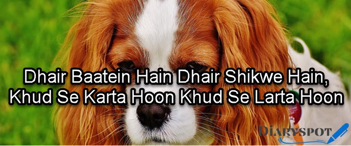 shikwa poetry