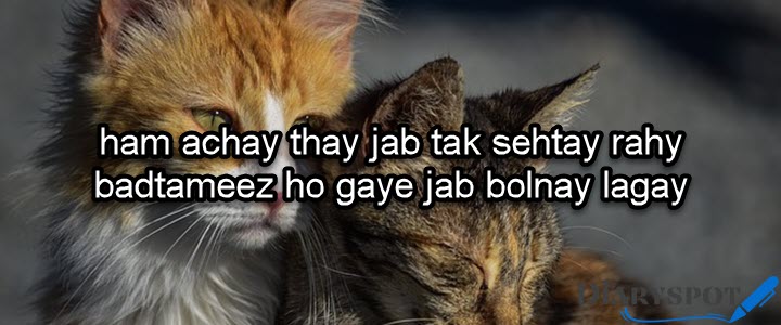 status shayari