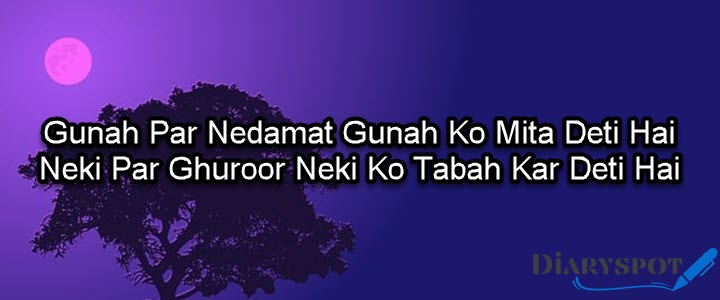 poetry on success in Urdu
