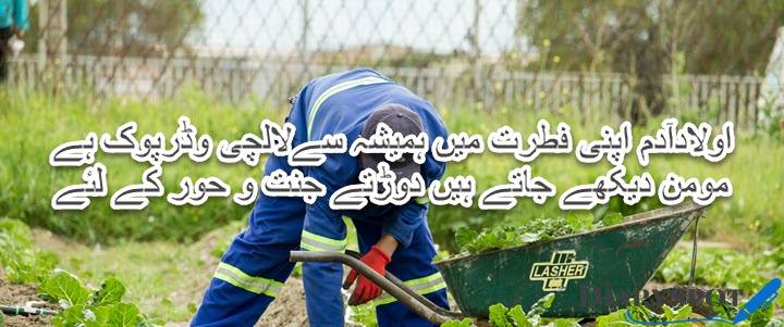 labour day in urdu