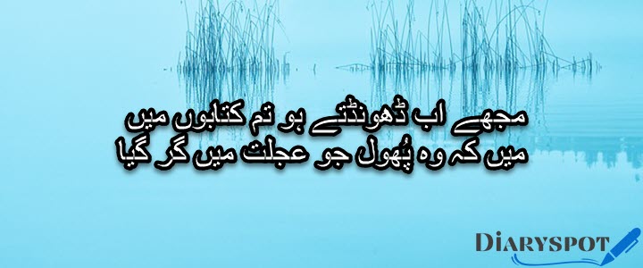 picture shayari