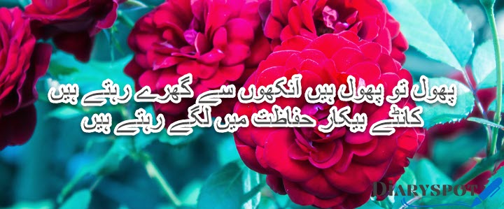 poetry on roses in urdu