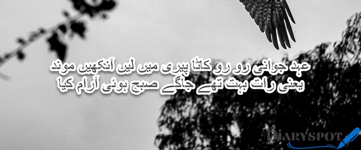 Mir Taqi Mir Poetry