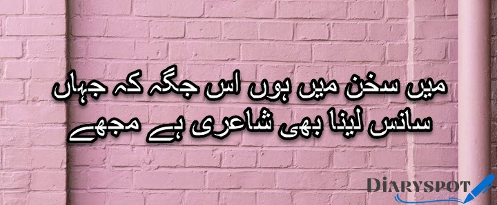 Two line shayari urdu attitude