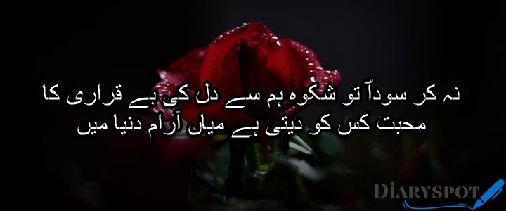 Mirza Muhammad Rafi Poetry
