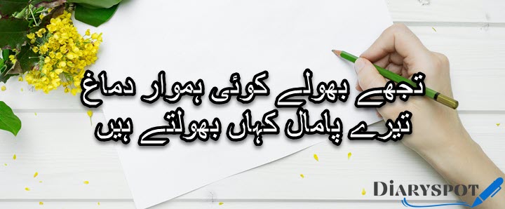 Deep one line poetry in Urdu