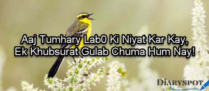 love sad poetry in urdu