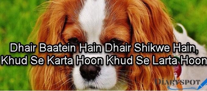 shikwa poetry