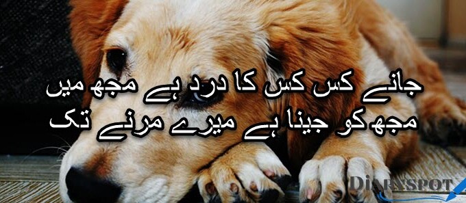 Urdu poetry sms attitude