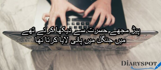 Poetry typing copy and paste
