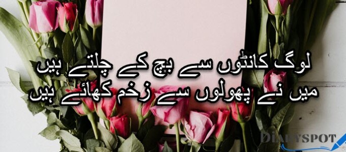 poetry on roses in urdu