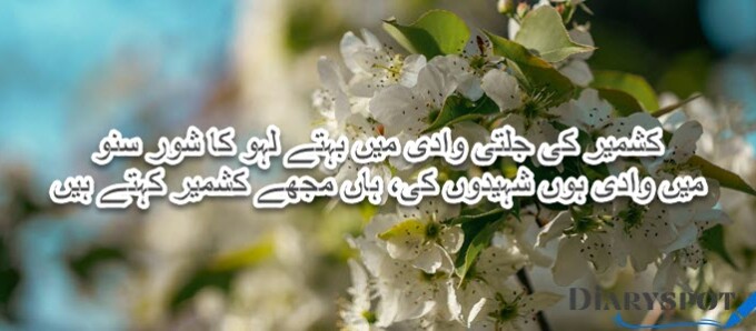 Kashmir poetry in English