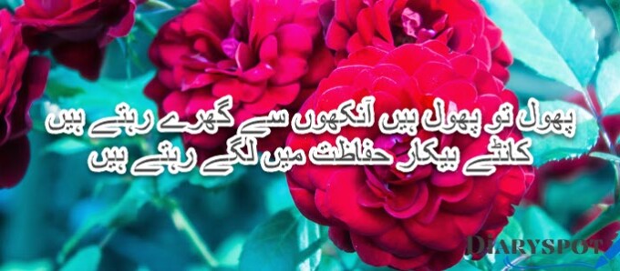Best poetry on roses in urdu