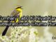 love sad poetry in urdu