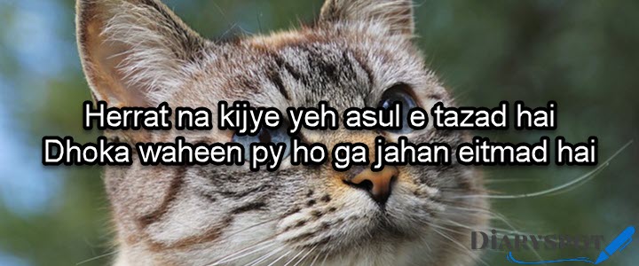 Jhooot poetry