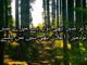 Death poetry in Urdu 2 lines text