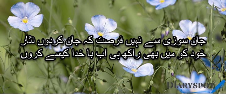 Romantic flower poetry in urdu