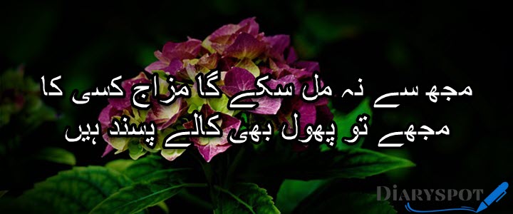 flower poetry in Urdu