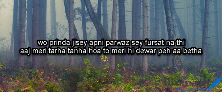 tanhai poetry in urdu