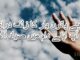 Famous poetry on hand in urdu