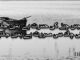 dansih ijaz poetry in urdu