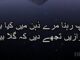 Tehzeeb Hafi poetry in Urdu 2 lines