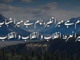 Josh Malihabadi Poetry in Urdu 2 lines shayari card 1