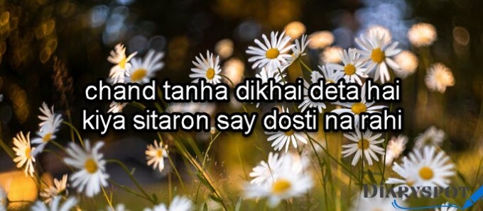 best friend shayari in urdu