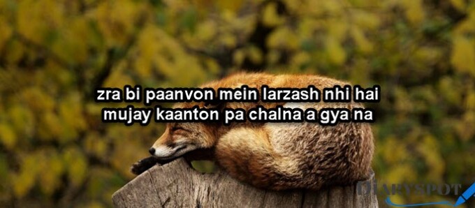 bewafa dost quotes in english