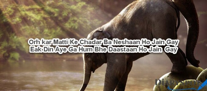 bewafa poetry ghazal