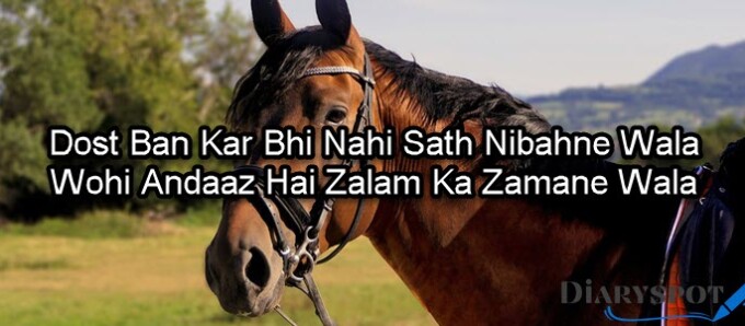 dosti shayari in urdu