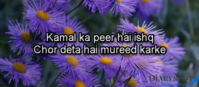 hug and kiss poetry in urdu