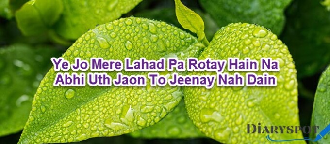 love poetry in urdu english