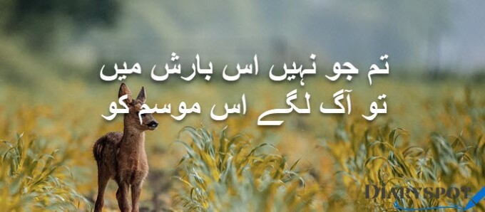 poetry barish