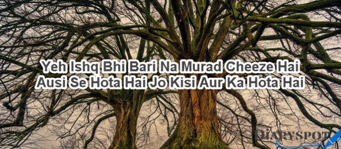 romantic ghazal for lover in urdu