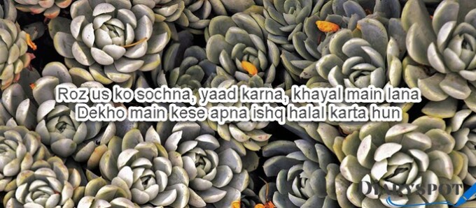 sad poems about love and pain in urdu