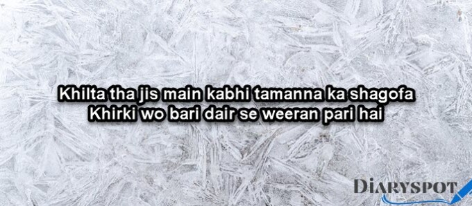 sad urdu shayari love