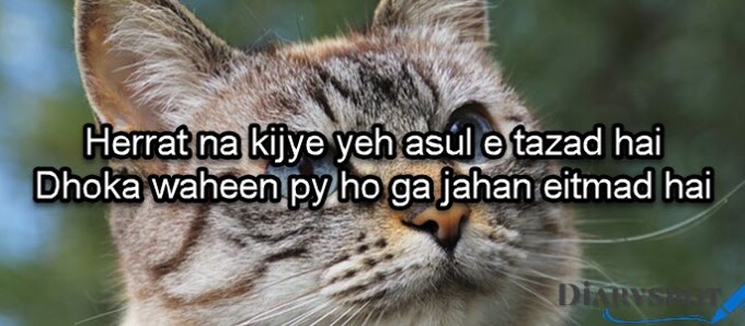 Jhooot poetry