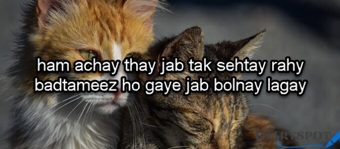 status shayari