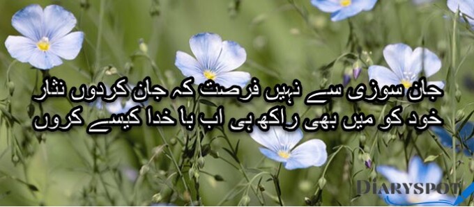 Romantic flower poetry in urdu