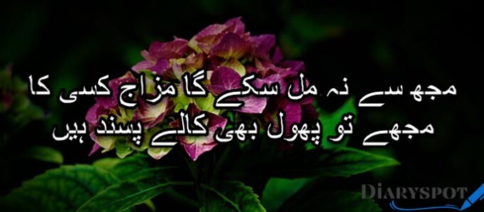flower poetry in Urdu