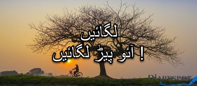 International Tree Day