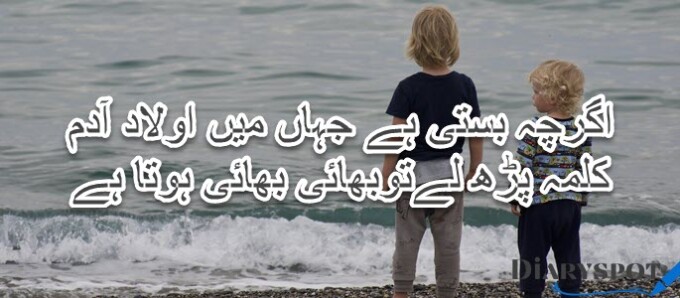Little brother day poetry