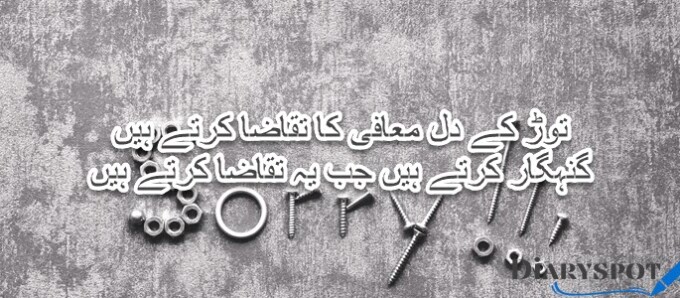 Sorry Poetry in english