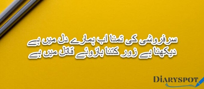 pakistan 2 line poetry