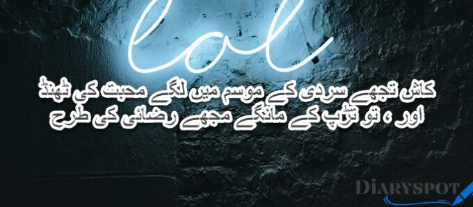 Funny Poetry in Urdu English