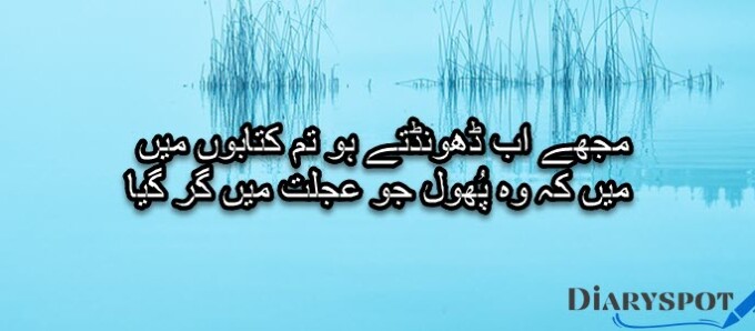 picture shayari